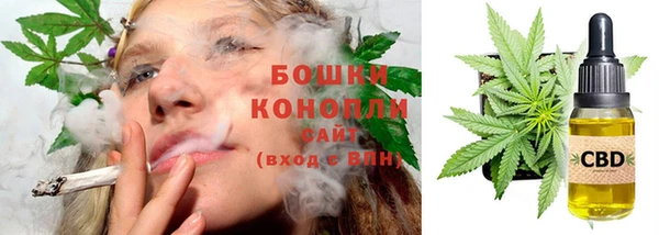 ешки Арсеньев