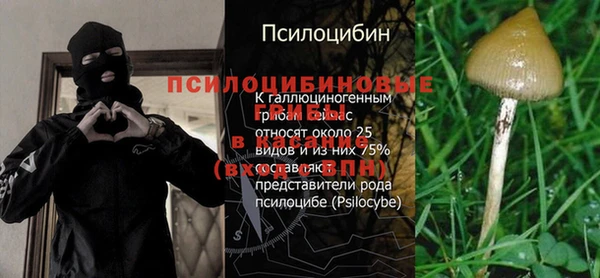 ешки Арсеньев