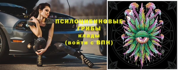 соль ск Армянск